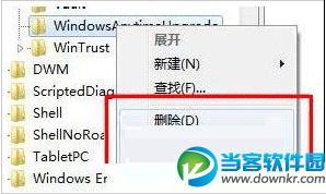 删除WindowsAnytimeUpgrade项