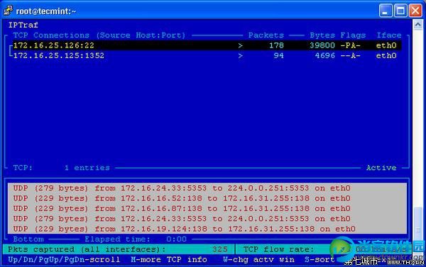 IP Traffic Monitor