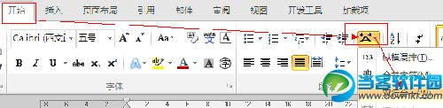 word2010双行合一怎么设置