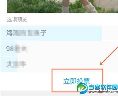 找到你要投票的选项，点击“立即投票