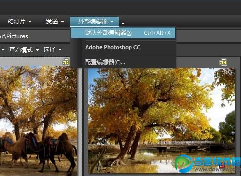 ACDSee Pro 5设置默认外部打开程序