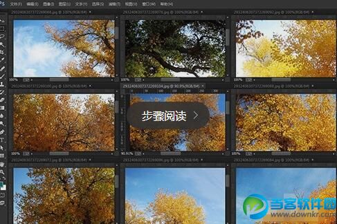 ACDSee Pro 5设置默认外部打开程序