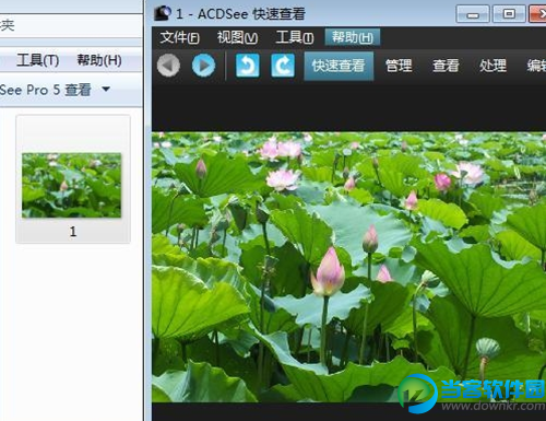 ACDSee  Pro 5浏览图片文件夹