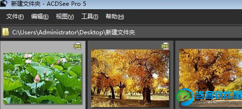 ACDSee  Pro 5浏览图片文件夹