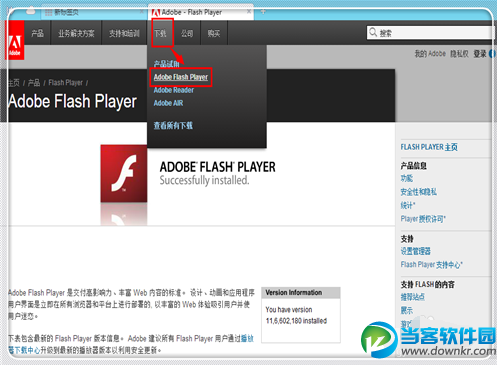 Adobe Flash Player