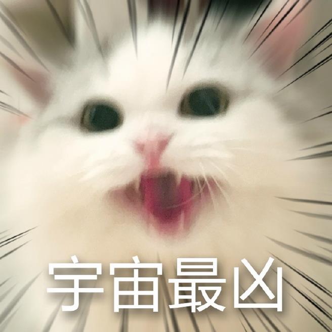 馒头猫表情包