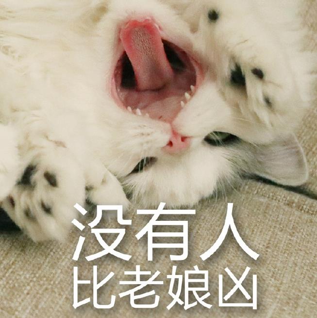 馒头猫表情包