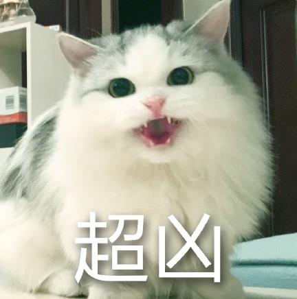 馒头猫表情包