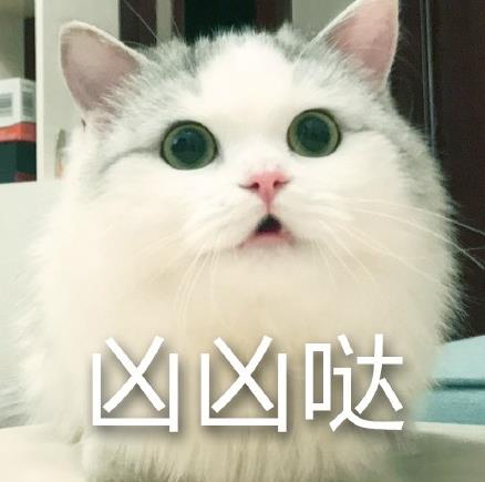 馒头猫表情包