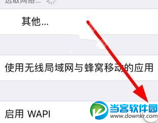 ios11 wapi打开好吗_ios11 wapi有什么用