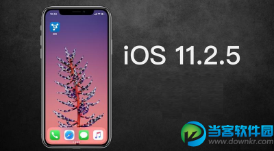 iOS11.3怎么降级？iOS11.3降级到iOS11.2.5 教程。