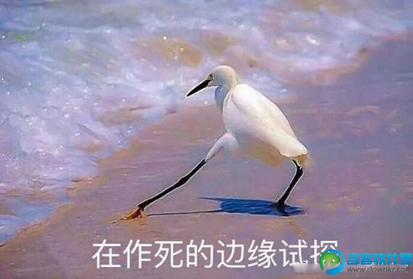 男朋友测试卷完整版免费分享