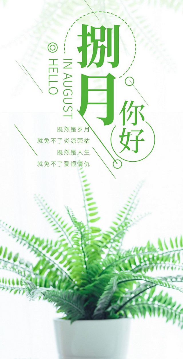 七月再见,八月你好朋友圈说说,2018八月你好唯美句子推荐