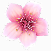 桃花运直播 v1.0 破解版