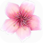 桃花运直播 v1.9.0 破解版