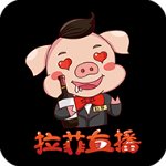 拉菲直播 v1.0.9 正版