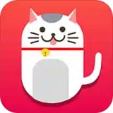 小说猫 V1.5.5 安卓版