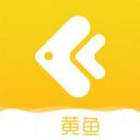 黄鱼视频 V1.0 最新版