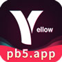 pb5app V1.0 免费版