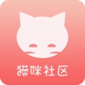 猫咪社区 V1.0 官网版