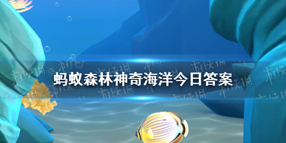 海中的金丝雀是白鲸吗 神奇海洋鼠海豚白鲸答案10.6