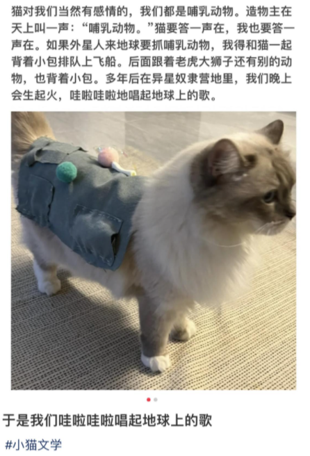 小猫文学是什么梗 小猫文学是什么意思