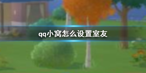 qq小窝怎么设置室友 qq小窝设置室友方法介绍