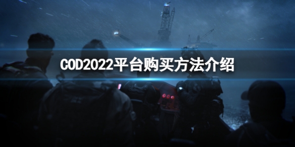 COD2022哪个平台可以购买-平台购买方法介绍