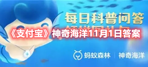 《支付宝》神奇海洋11月1日答案