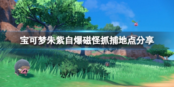 宝可梦朱紫自爆磁怪去哪抓-自爆磁怪抓捕地点分享