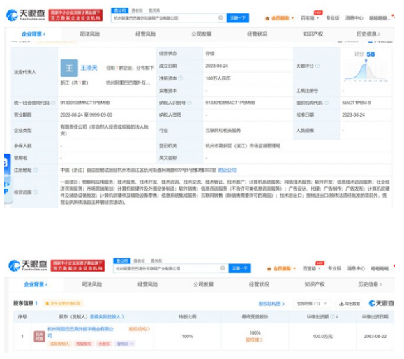 杭州阿里巴巴海外互联网产业有限公司正式登场