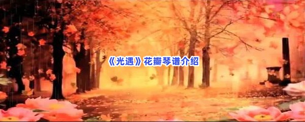 《光遇》花瓣琴谱介绍